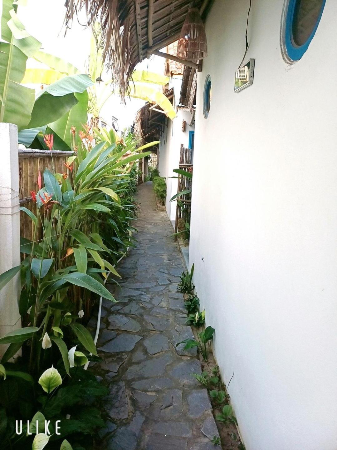 Cashew Tree Bungalow Hoi An Eksteriør billede