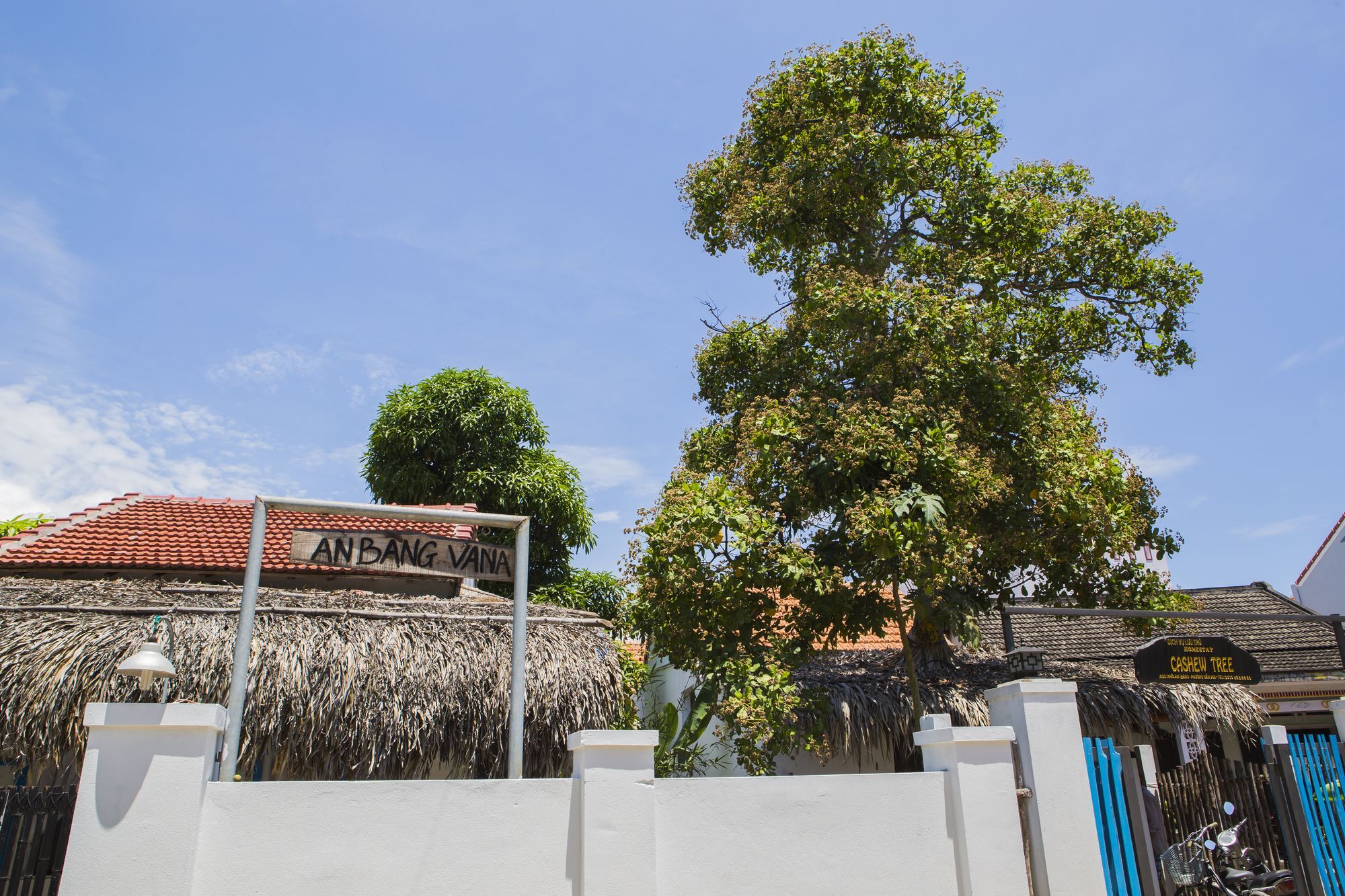 Cashew Tree Bungalow Hoi An Eksteriør billede