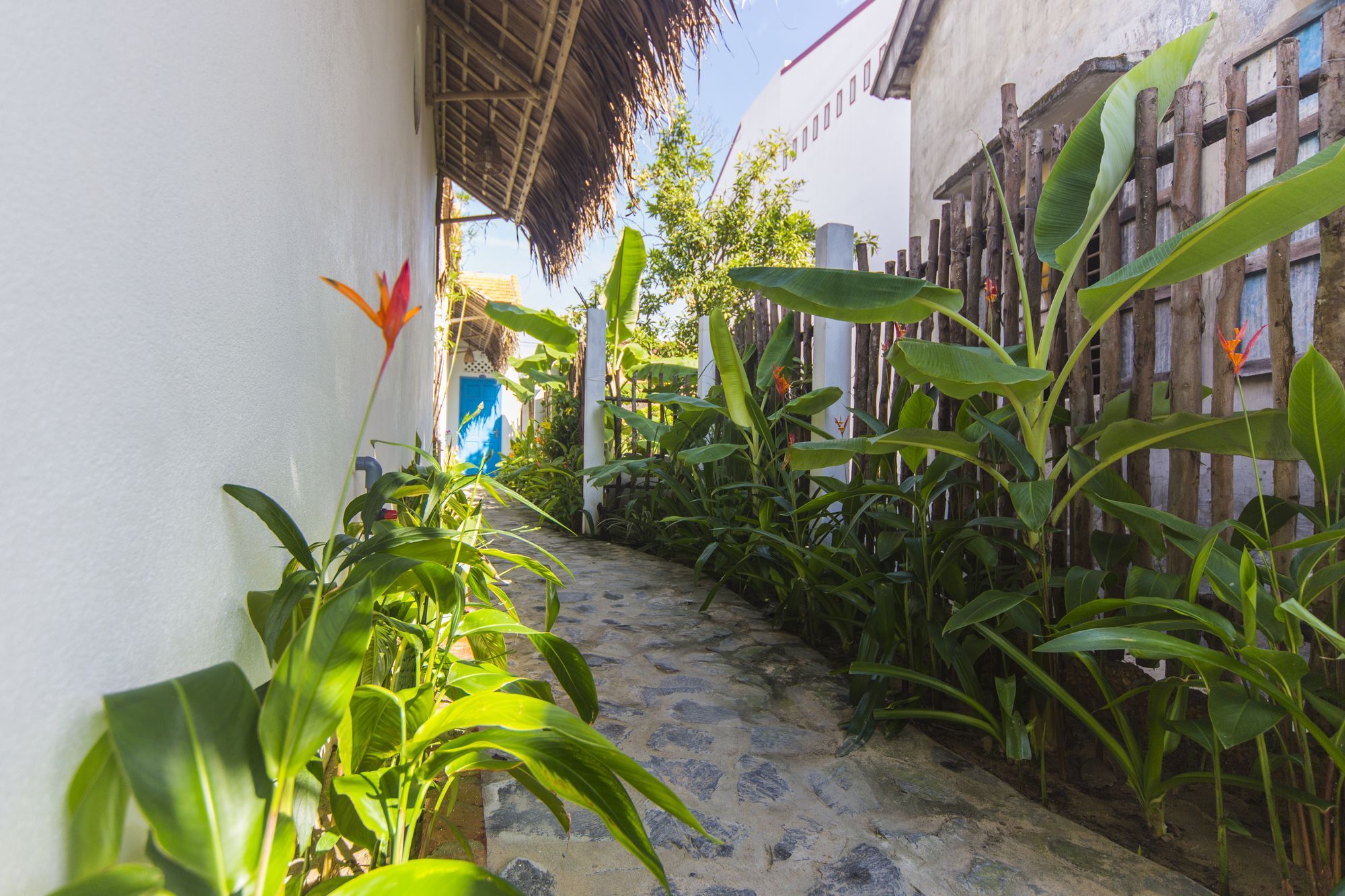 Cashew Tree Bungalow Hoi An Eksteriør billede