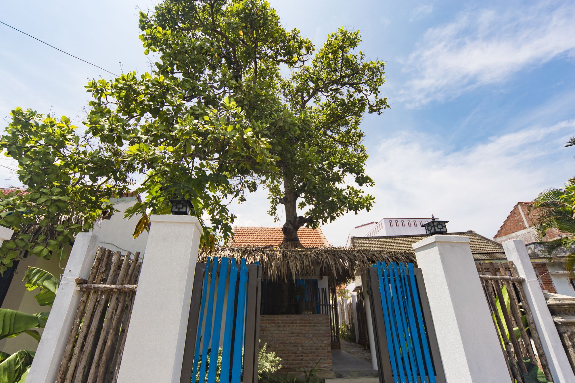 Cashew Tree Bungalow Hoi An Eksteriør billede